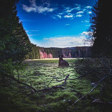 Fewo An Der Zwaens Stollberg Luaran gambar
